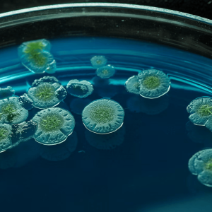 9th Joint Call: WATCHµBio